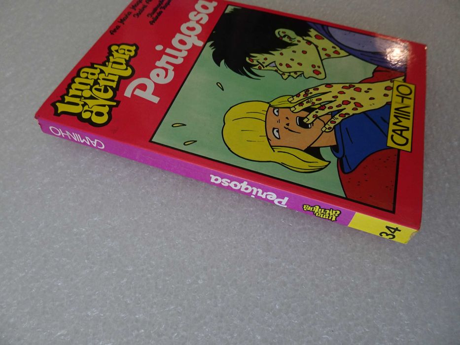 Livro Uma aventura perigosa - Caminho