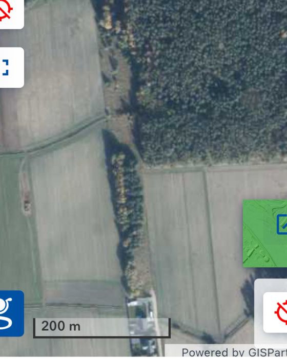 WYJĄTKOWE!!!Sprzedam 3 działki z lasem .Nowy MPZP.