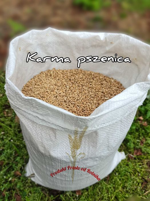Pszenica opakowanie 25kg wysyłamy Inpost
