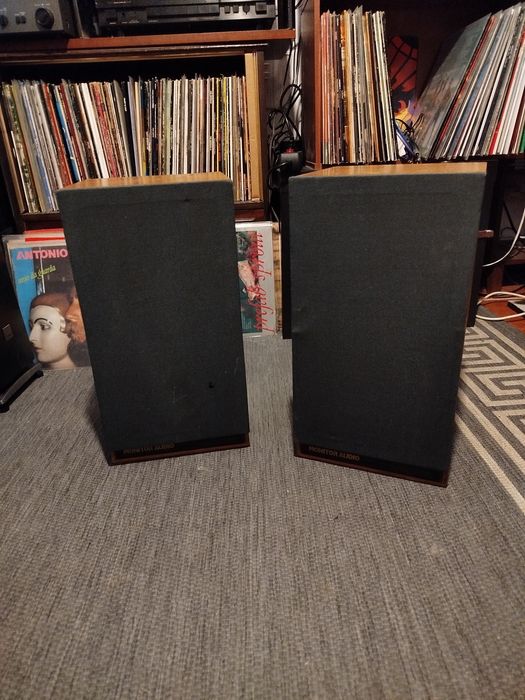 Colunas Monitor Audio R252