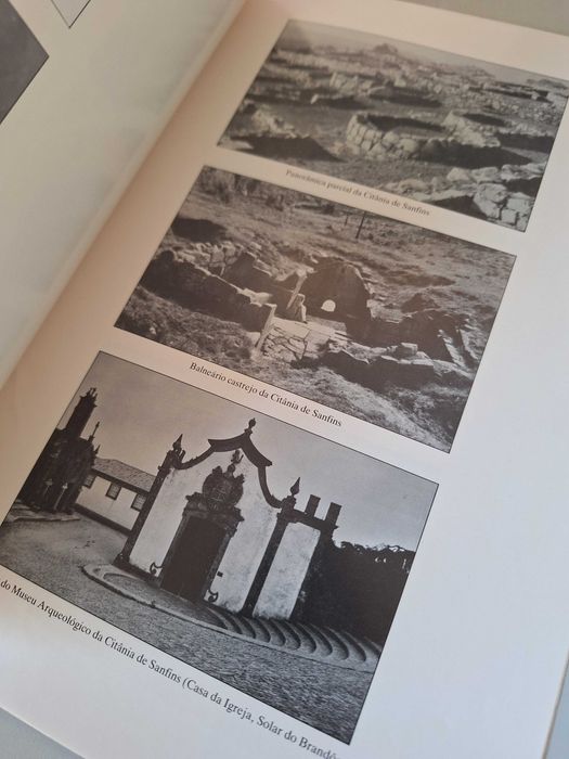 Citânia de Sanfins na história da arqueologia portuense