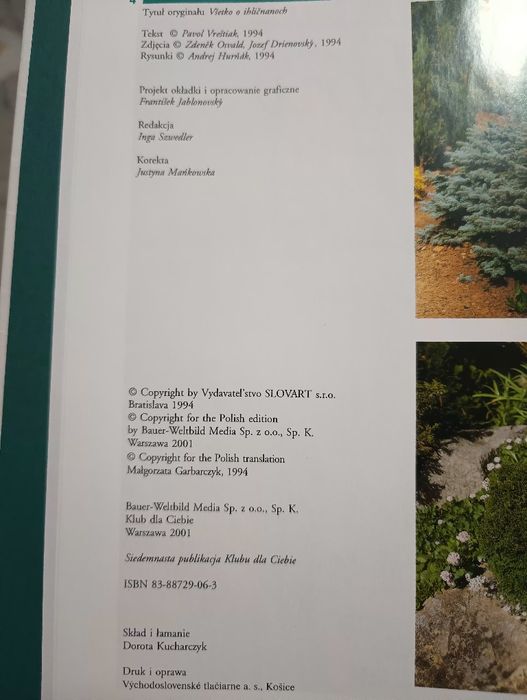 Iglaki leksykon -piekne zdjęcia