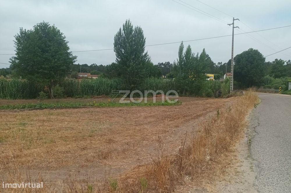 Terreno Agricola em Moita Vaqueira - Arazede