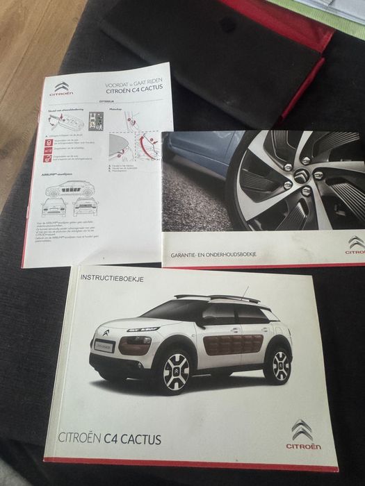 IMPERDÍVEL! C4Cactus Completo