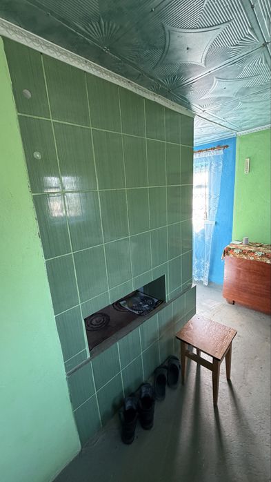 Будинок в селі біля Дністра
