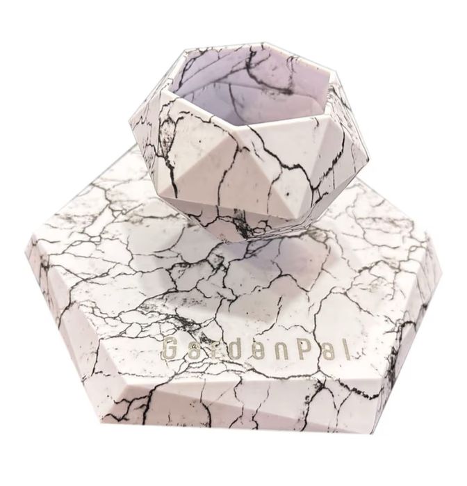 Vaso levitador para plantas 50% desconto