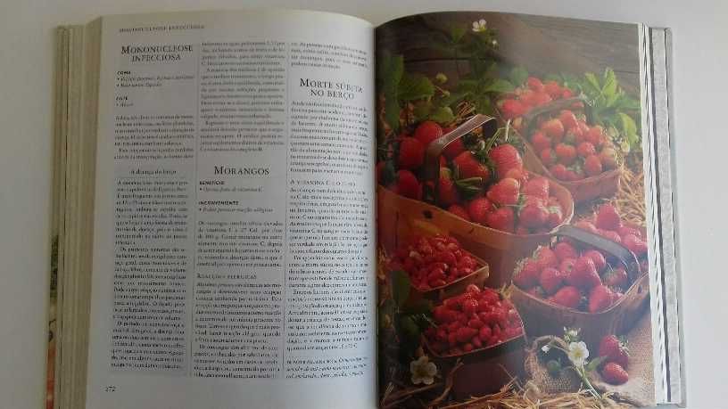 Livro culinária novo - "Alimentos Bons, Alimentos Perigosos"