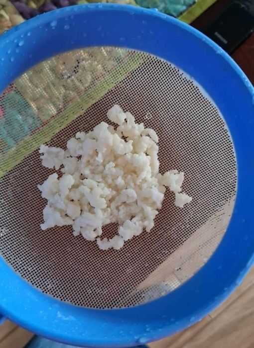 Zestaw zdrowotny dla Raff