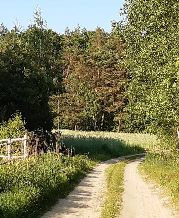 Sprzedam działkę budowlaną