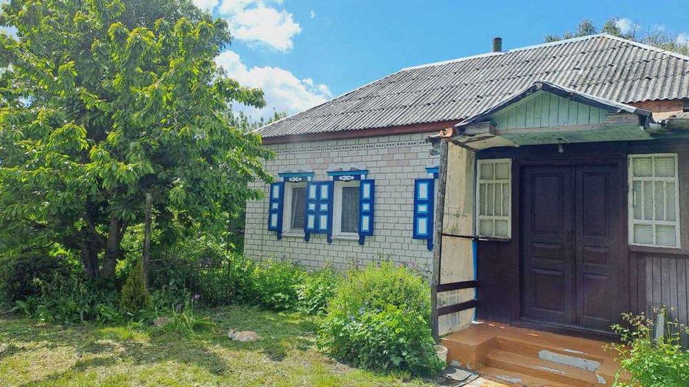 Продається  будинок село Курінь, Чернігівська область