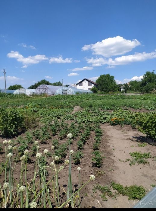 Продам будинок в с.Підгайці