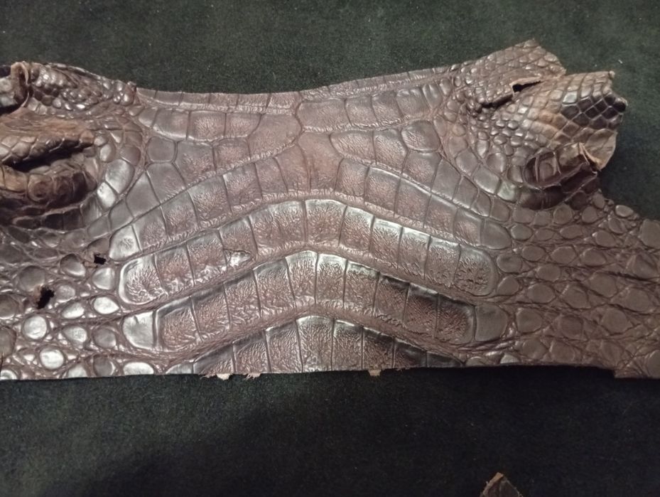 Куски кожи ,, Croco "ЭКЗОТИЧЕСКАЯ КОЖА