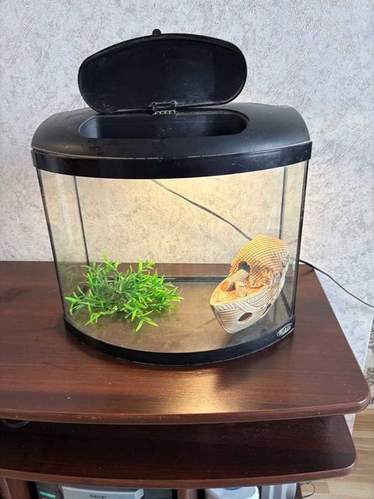 Акваріум AQUA SZUT для рибок з кришкой та світлом. 40/25/30. На 30 л.