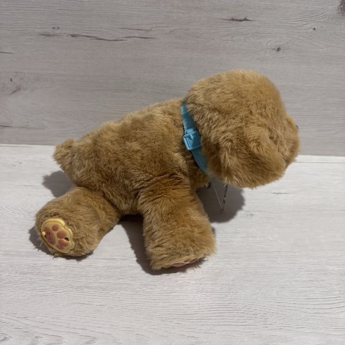 Little Live Pets - Sleepy Puppy