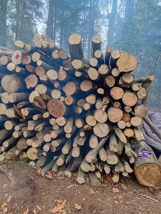 Sprzedam drewno opałowe