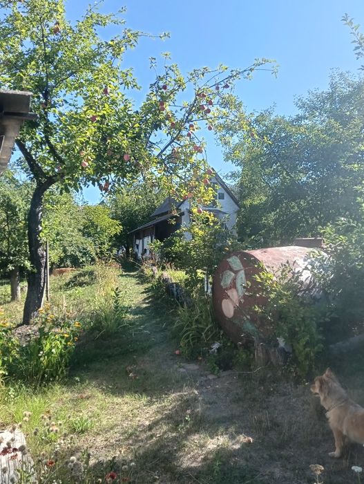 Продається дачна ділянка 21 сот