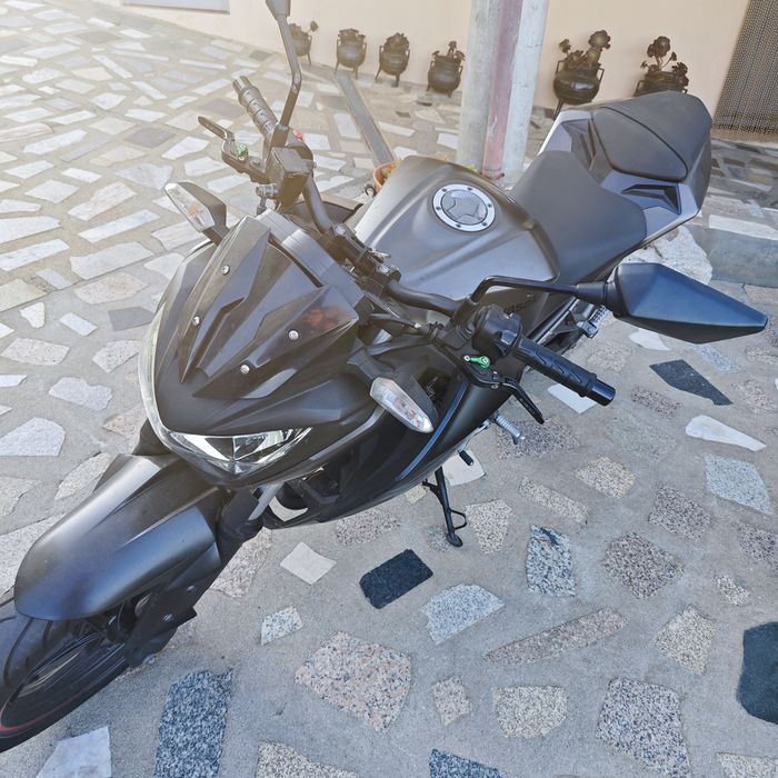 Kawasaki Z300 2015