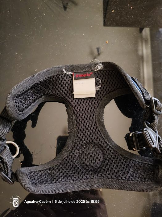 Peitoral azul para cães pequenos