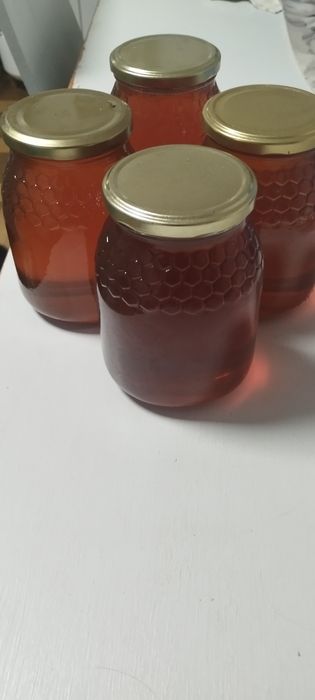 Vendo mel multifloral