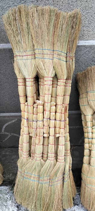 ПРОДАМ ВІНИКИ сорго. Веники