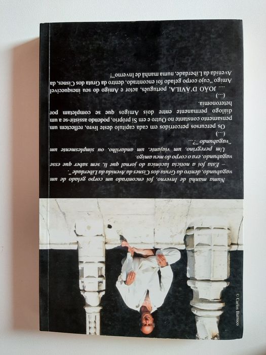 Livro "A Gruta dos Cisnes"