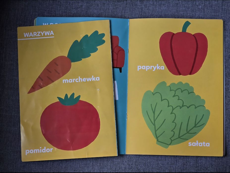 Książka Akademia Przedszkolaka Moje pierwsze słowa