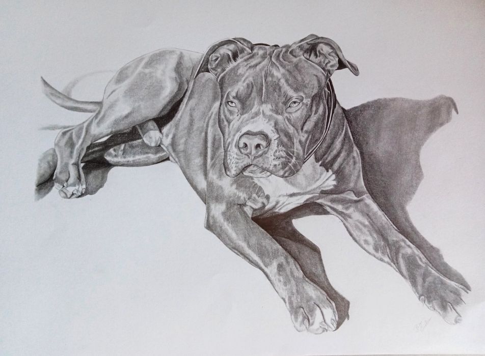 Faço desenhos / retratos a lápis