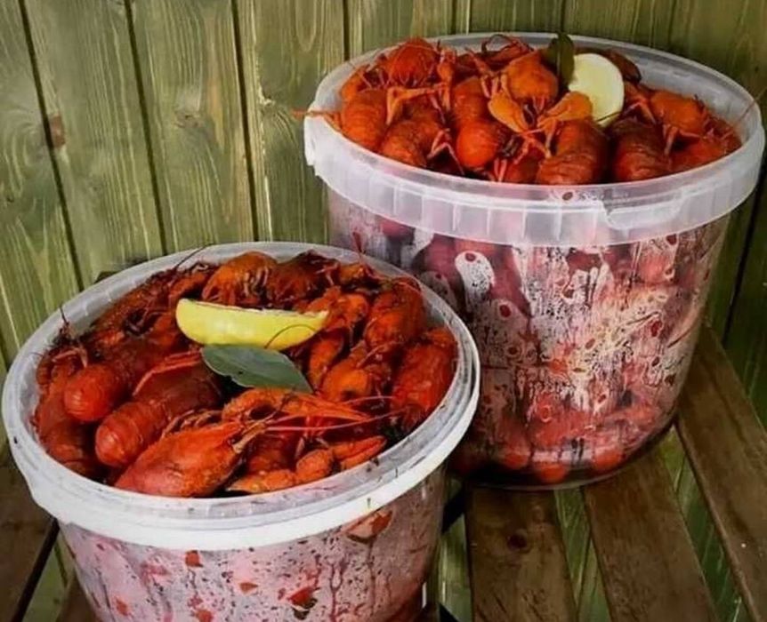 Раки живі та варені є в наявності