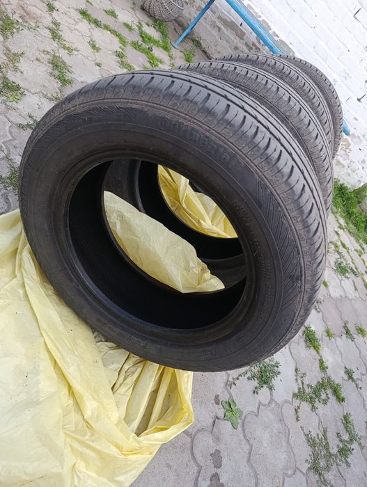 ContiEcoContact 3-185/65 R15 88 T літні