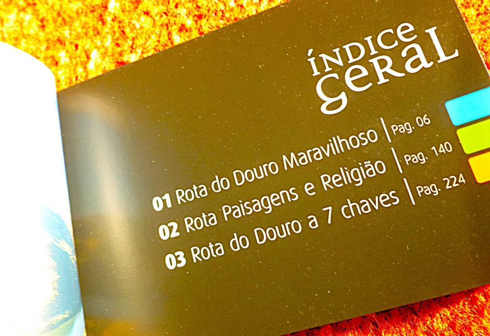 Turismo - Douro Religioso - Guia