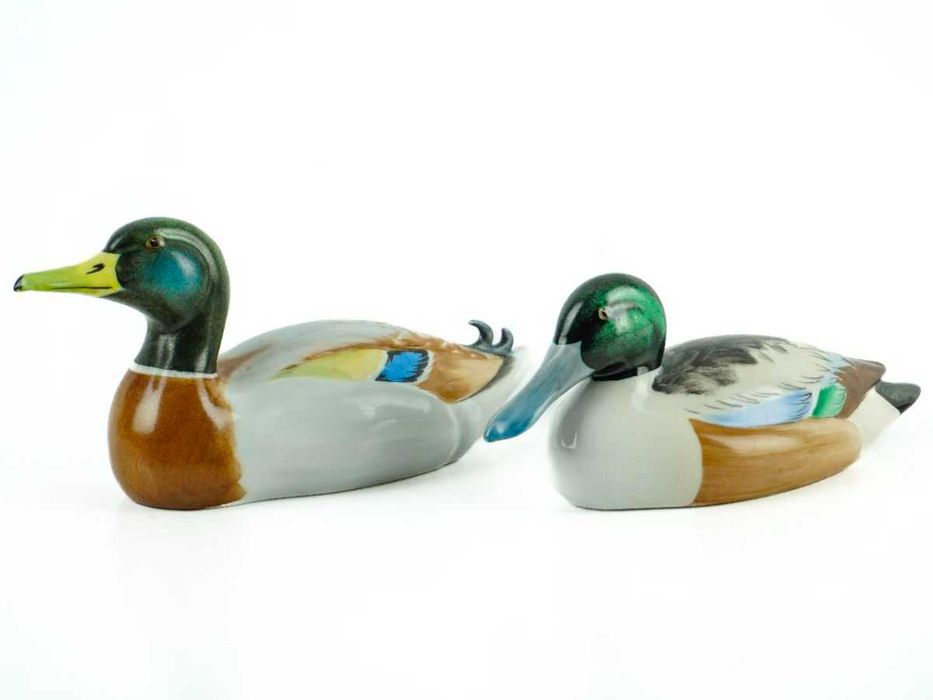 Patos da Vista Alegre