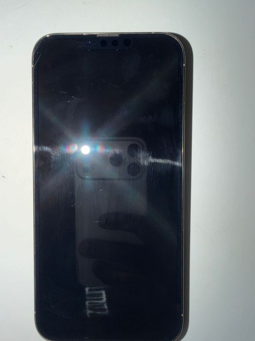 iPhone 13 Pro Max 256GB