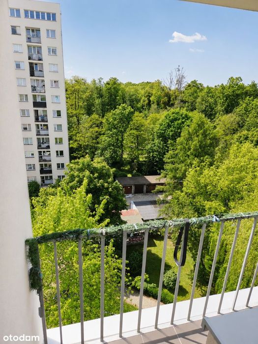 3 pokoje w centrum wśród zieleni