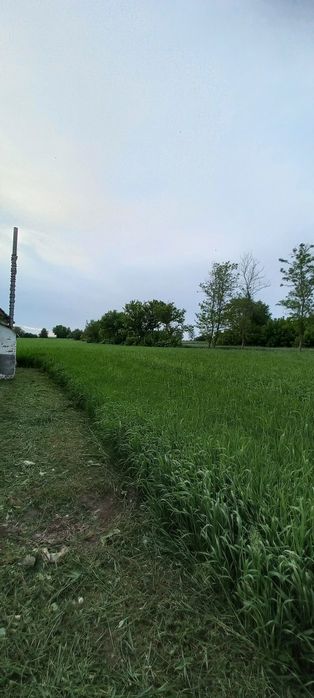 Будинок з ділянкою 60 соток