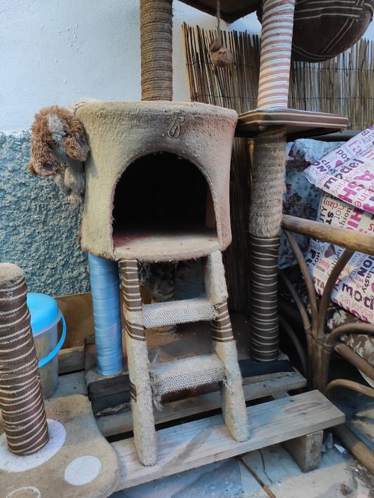 Arranhador Gato Multiplataforma com cama e abrigo + Extras