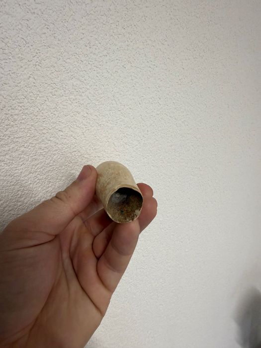 Dente de baleia Açores