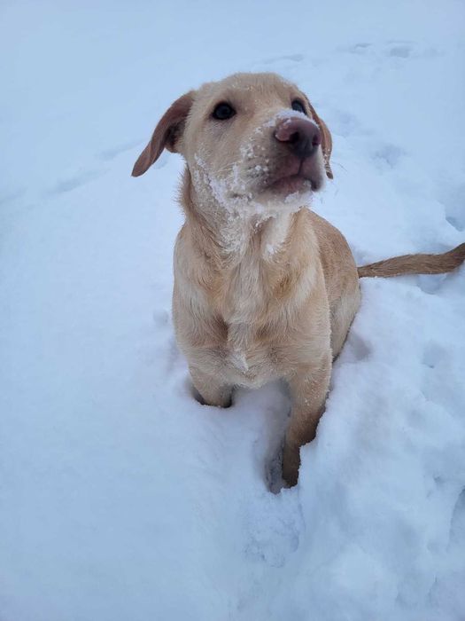 Pomóż nam znaleźć najlepsze domy