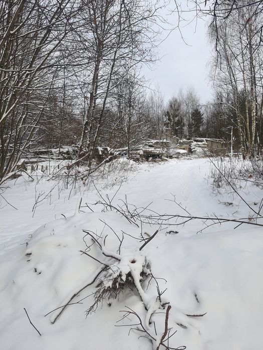 Unikatowy teren inwestycyjny 9 672 m² z historią fermy drobiu - Widok 4