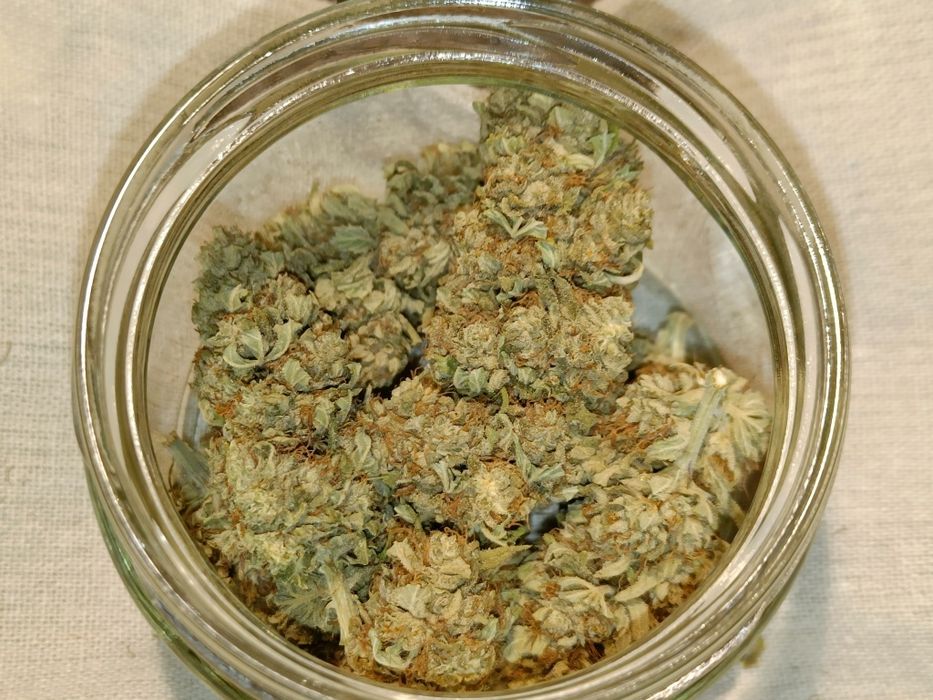 Vanilla Ice susz CBG 20g CBD konopi