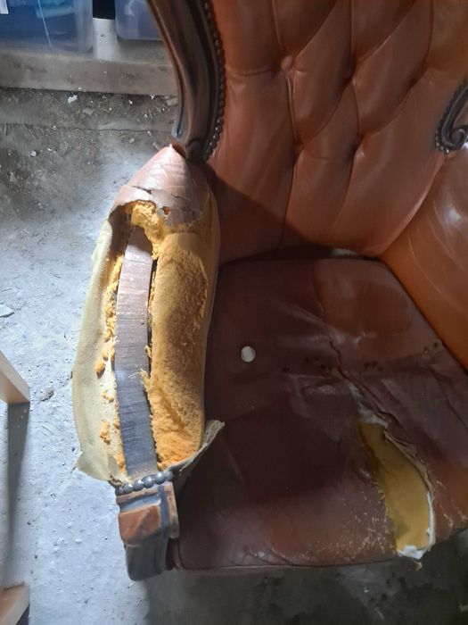 Fotel Ludwik skórzany Antyk