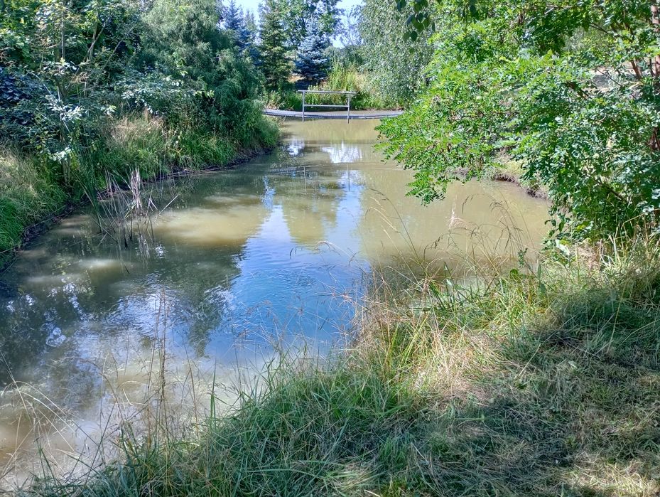 Nieruchomosc plus duza dzialka - View 5