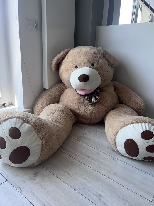 Duży mis Ok 170cm