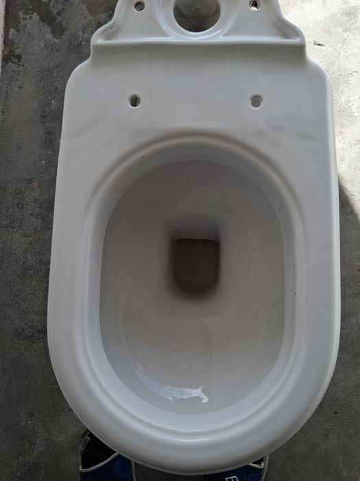 Sanita branca no Entroncamento