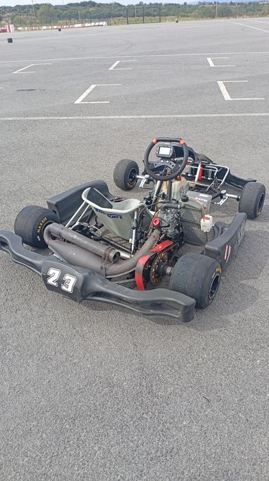 Vendo kart rotax max
