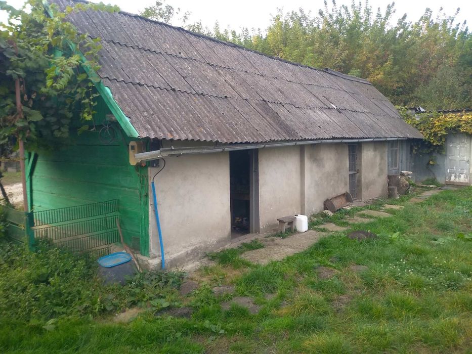 Безкоштовне проживання