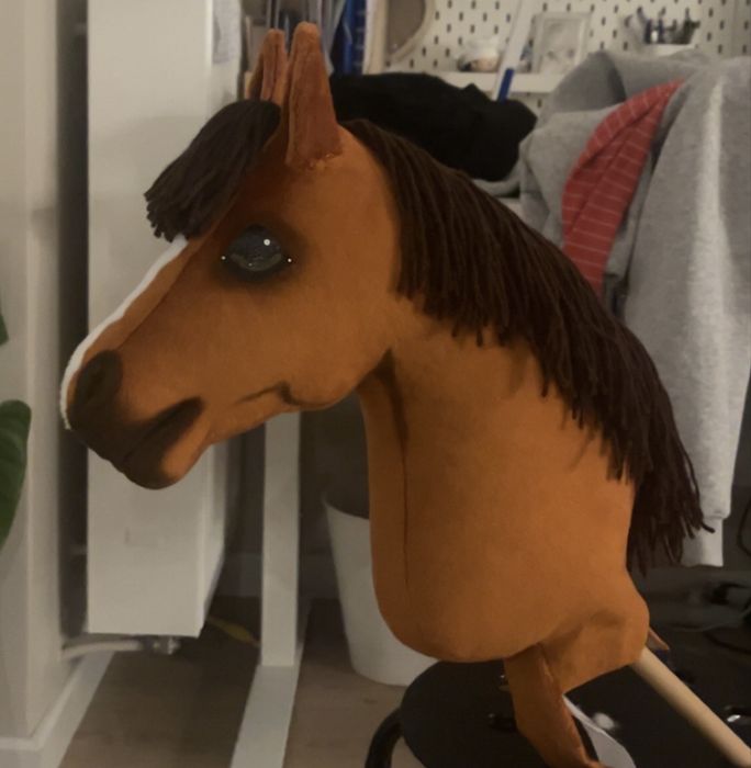 Hobby horse RSN.