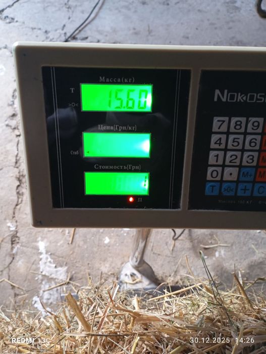 Тюки соломи, продам