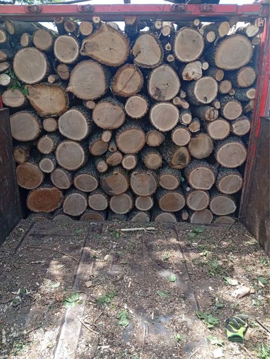 Продам дрова Дуб, Грам . Ясен