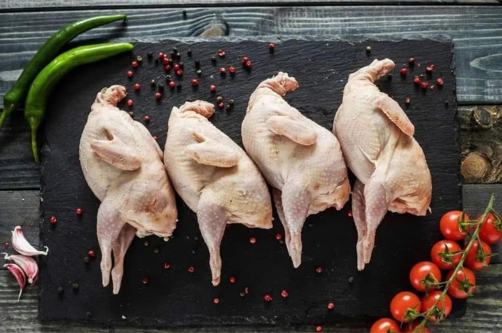 Тушки перепілок тушка перепела перепелка