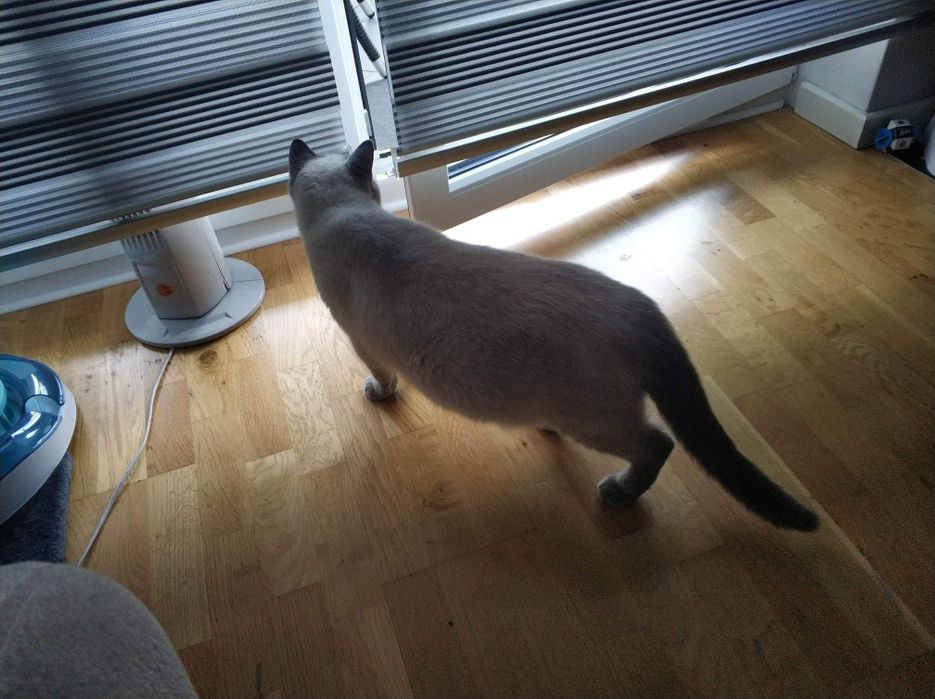 Balkonowa roleta mocowana do ściany rolety dzień noc balkon roleta